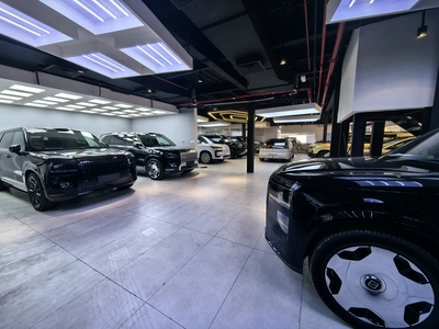 1200輛中國(guó)新能源車(chē)?yán)в诤{:迪拜汽車(chē)經(jīng)銷(xiāo)商的突圍