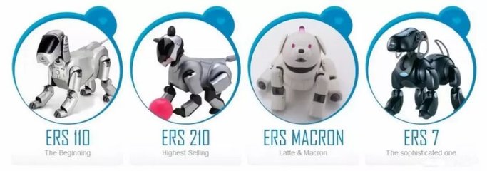 “人不如狗”？當(dāng)寵物市場超越婚介市場，我們該如何看待情感消費(fèi)的變遷